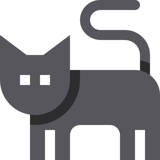 Black cat